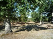 Terreno Saugnacq Et Muret